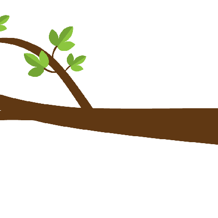 branch